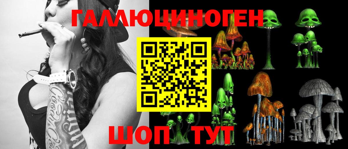 Галлюциногенные грибы GOLDEN TEACHER Геленджик