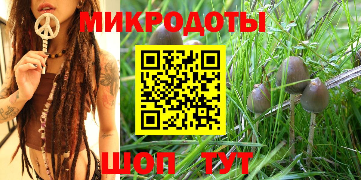 наркотики  Вход с VPN  Геленджик  Псилоцибиновые грибы мицелий 